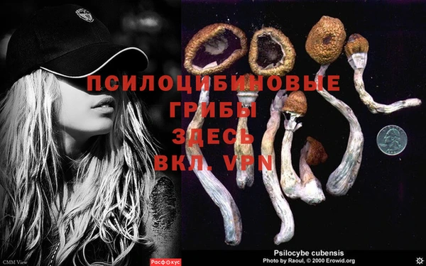 мет Валдай