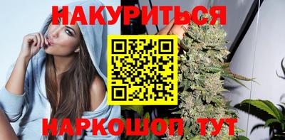 спиды Гай