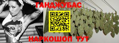 спиды Гай