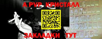 спиды Гай