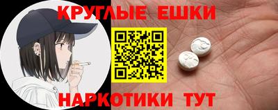 спиды Гай