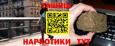 спиды Гай