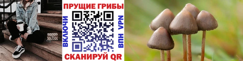 купить наркоту  omg ссылка  Галлюциногенные грибы Magic Shrooms  Каменка 
