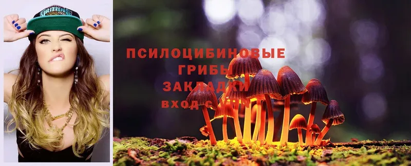 Галлюциногенные грибы Psilocybe Каменка