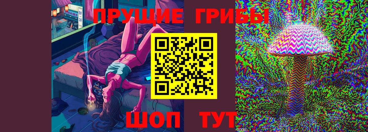 Каменка  Галлюциногенные грибы GOLDEN TEACHER  Вход с VPN 