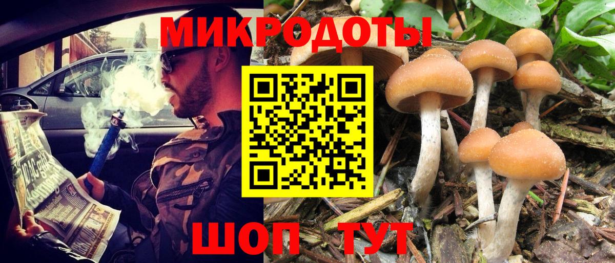 Псилоцибиновые грибы Cubensis  Псилоцибиновые грибы ЛСД  наркотики  Каменка 