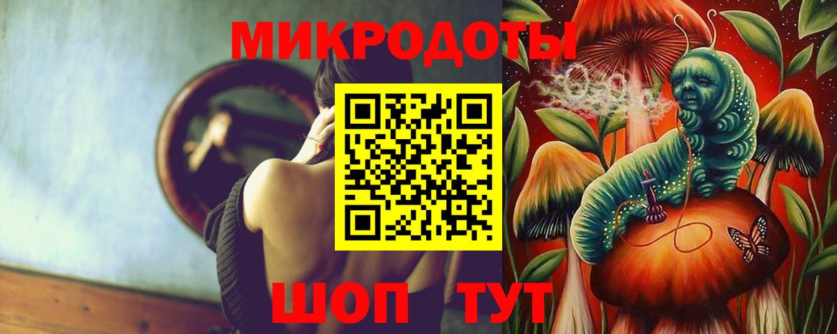 Галлюциногенные грибы Psilocybe Каменка