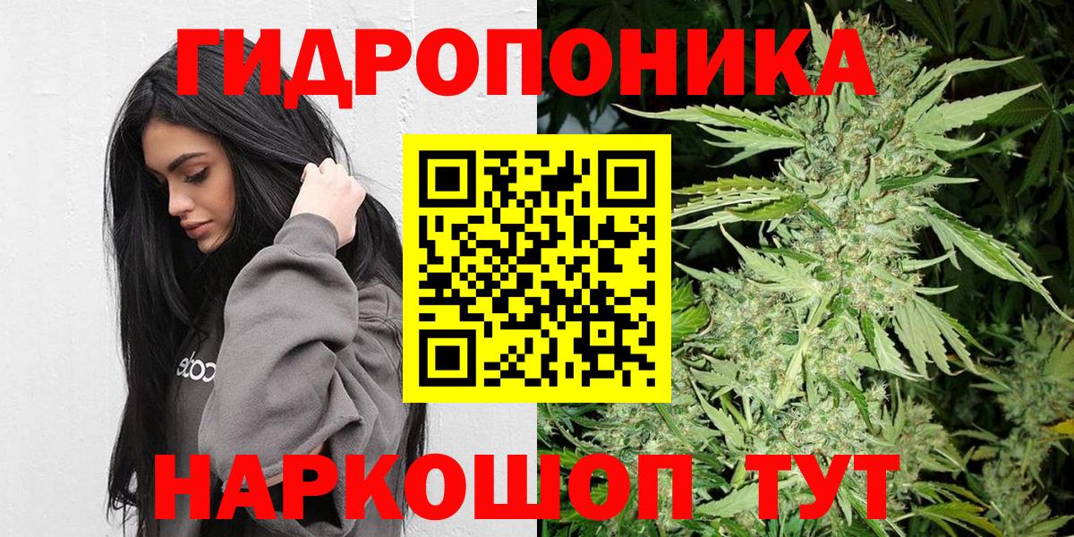 Каменка  Канабис планчик  Конопля AK-47  Вход с VPN  Марихуана White Widow 